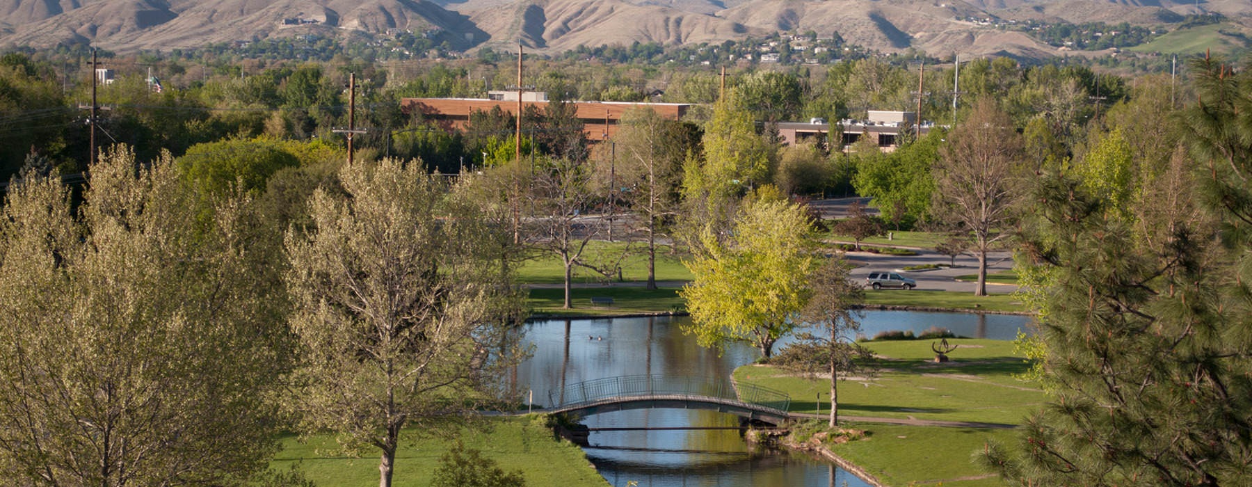 Boise park with lots of trees and greenery, river and bridge